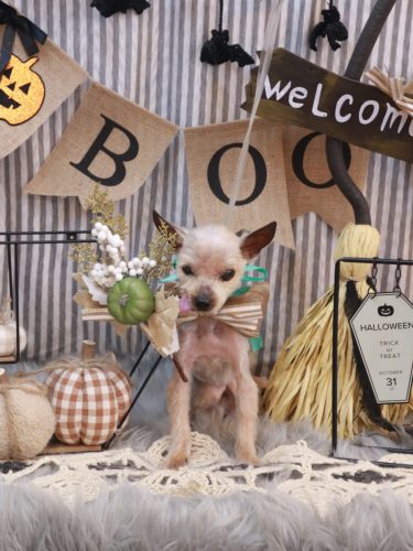 20251028ふみちゃん