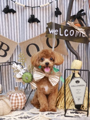 20251029海瑠ちゃん