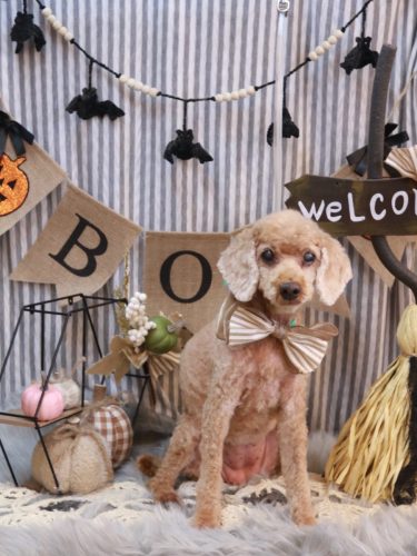 20251029マノアちゃん