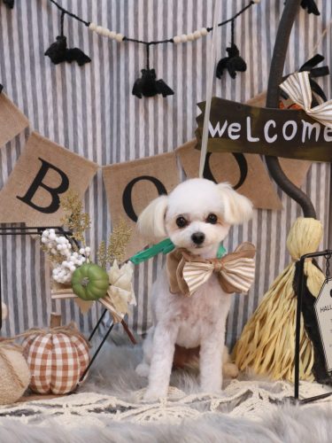 20251030小雪ちゃん