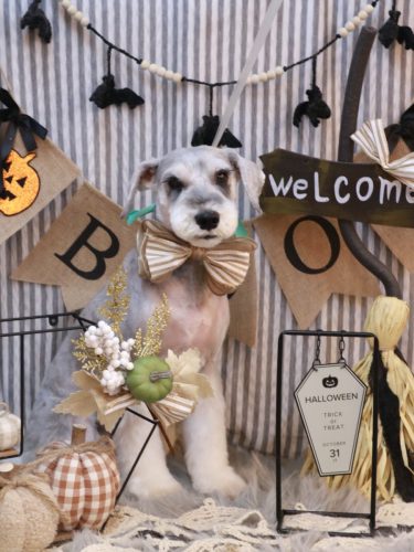 20251030りくくん