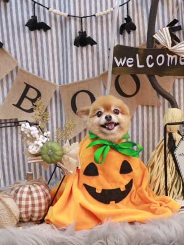 20251030のんちゃん