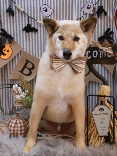 20251031れんくん