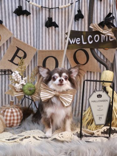 20251031空太くん