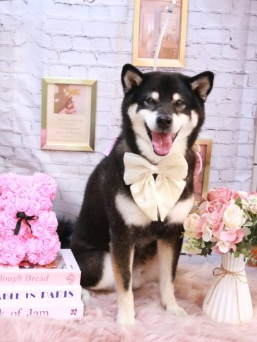 20251101ジローくん