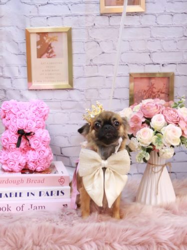 20251101むぎちゃん