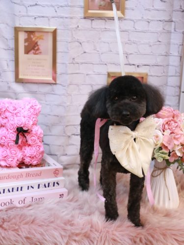 20251101うたちゃん