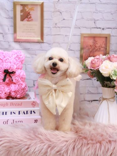 20251102リコちゃん