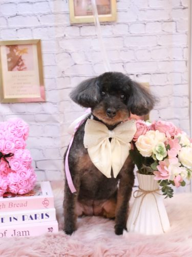 20251102ねねちゃん