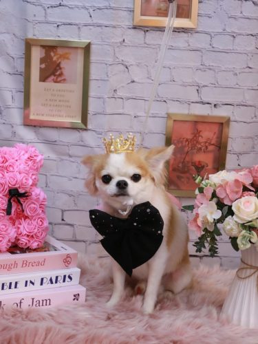 20251102くうくん