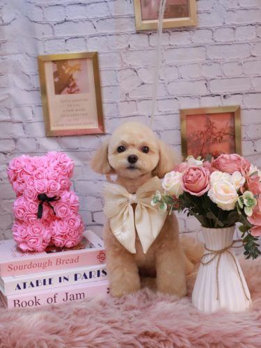 20251102むぎちゃん