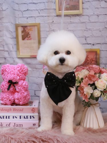 20251102姫葵ちゃん