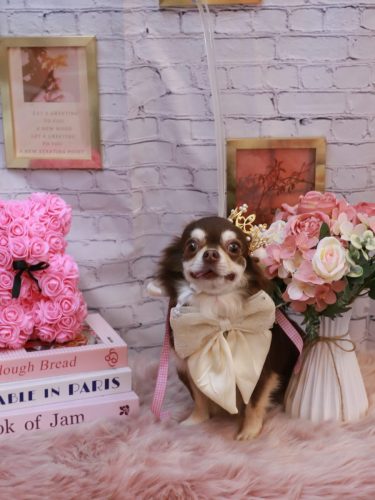 20251104ルアちゃん