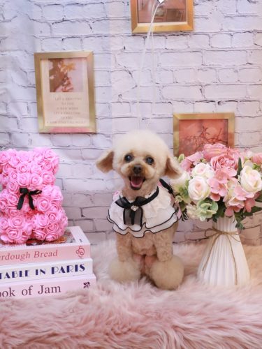 20251104マロンちゃん