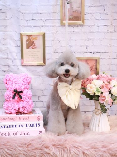 20251105宇宙くん