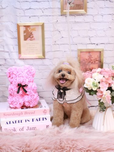 20251105麦ちゃん-