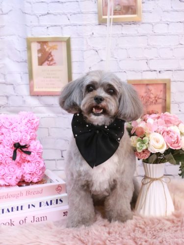 20251106蘭太郎くん