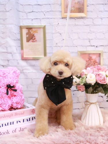 20251106モンチちゃん