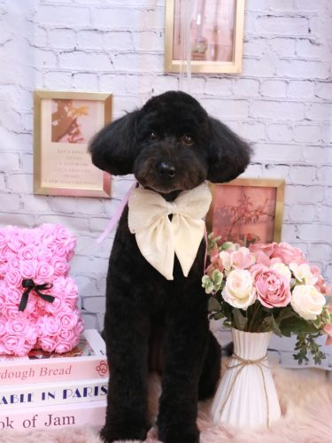 20251107アロちゃん