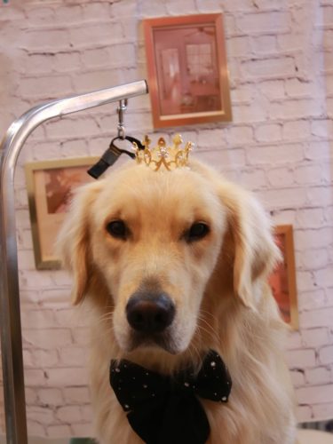 20251107レオくん