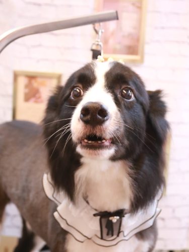 20251108ウィルくん