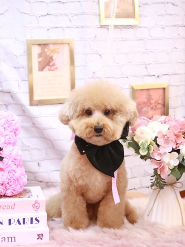 20251108かんたくん