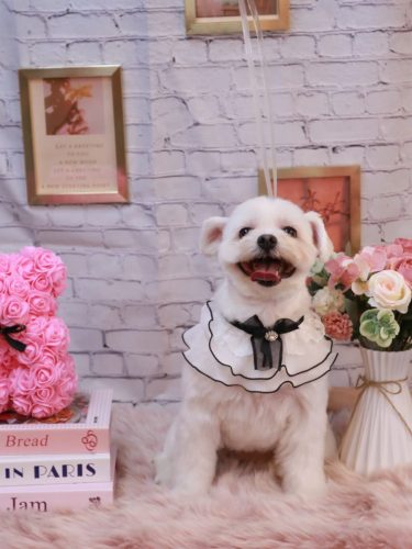 20251108うるちゃん