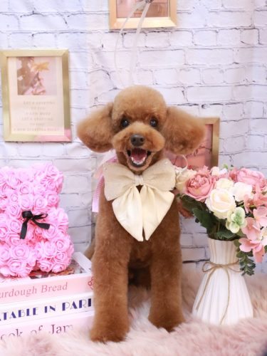 20251108ジェイくん