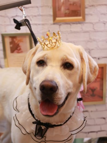 20251109糸ちゃん