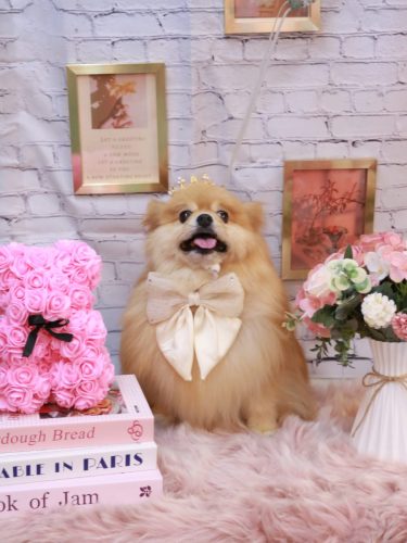 20251109梛都ちゃん