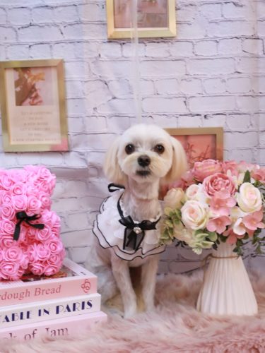 20251109むぎまるくん