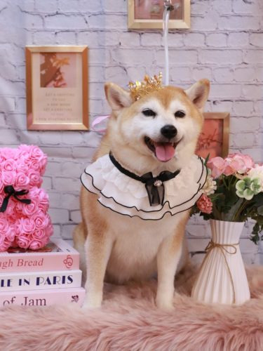 20251109初ちゃん