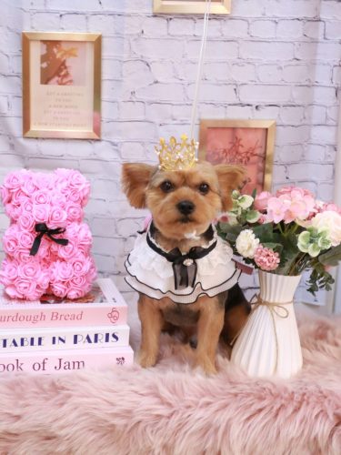 20251109ショーンくん