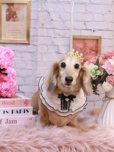 20251111そらくん