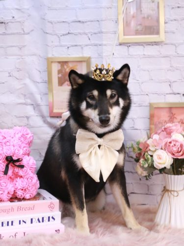 20251111りきくん