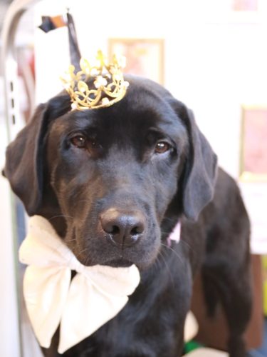 20251111文太くん