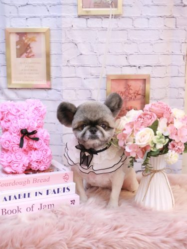 20251111リムルくん