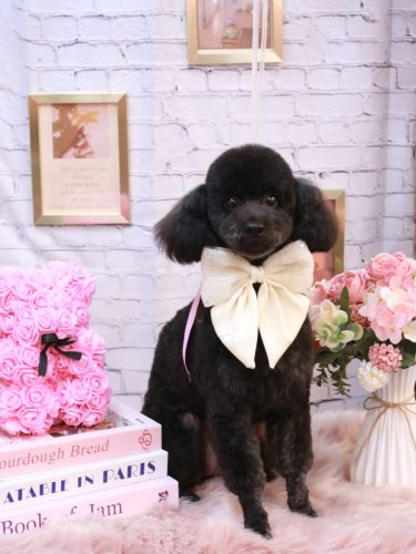 20251111もずくちゃん