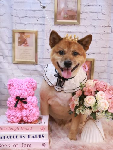 20251113やまとくん