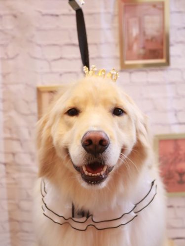 20251115ナナちゃん