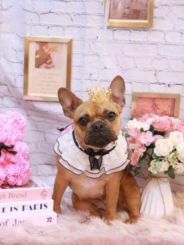 20251115EVEちゃん