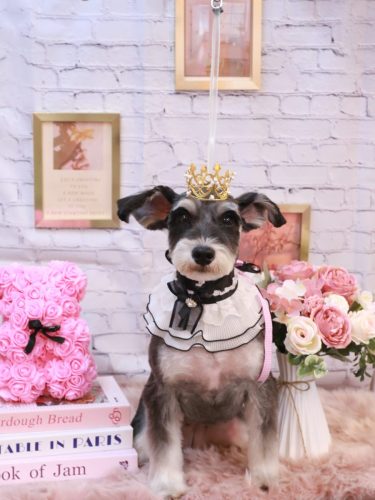 20251116音ちゃん