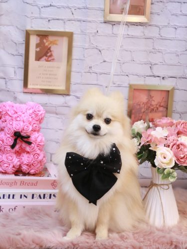 20251116なちゅくん