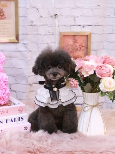 20251119NEROちゃん