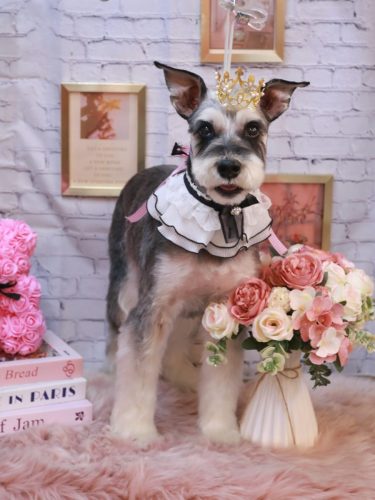 20251119銀次くん