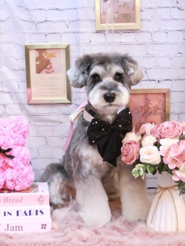 20251120ビッケくん