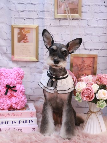 20251120ニーナちゃん