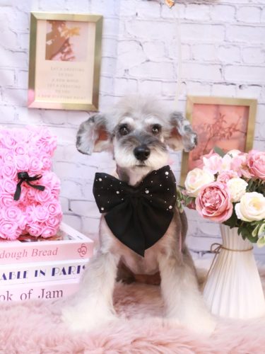 20251120ラーラちゃん