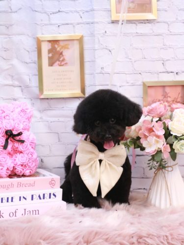 20251120レアちゃん