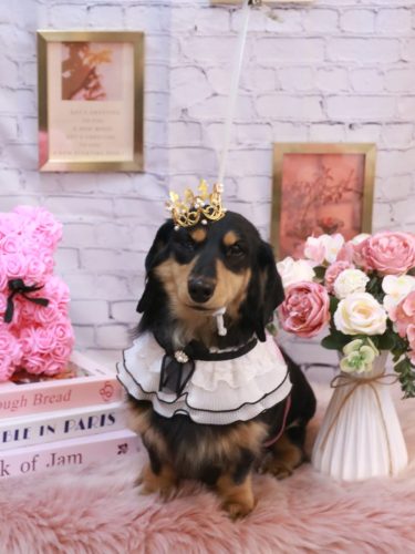 20251120おうたくん